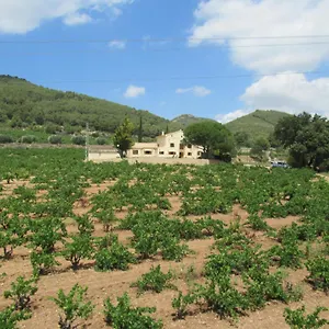 Cal Marti , El Pla de Manlleu España